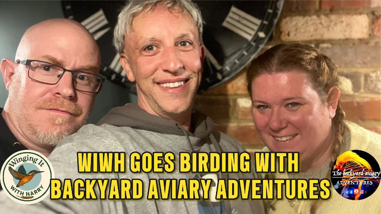 Join me as I go birding with Backyard Aviary Adventures