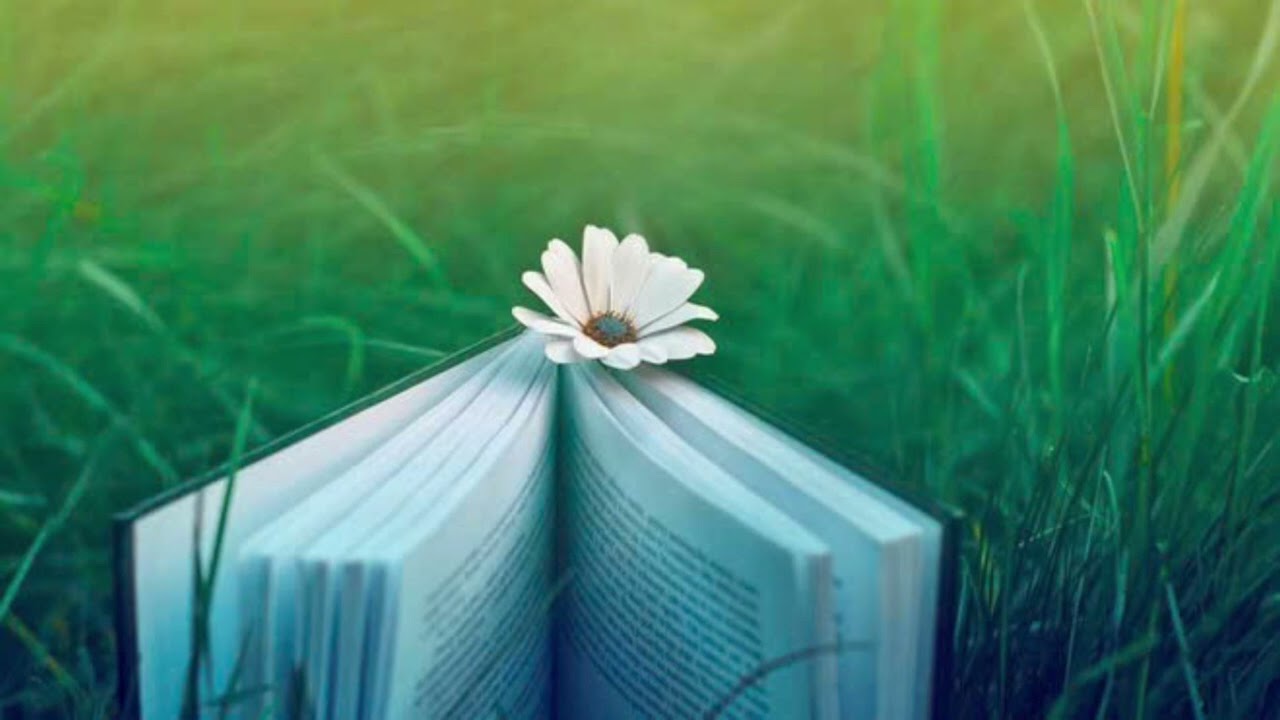 Tập 1. Đi qua những ngày chông chênh