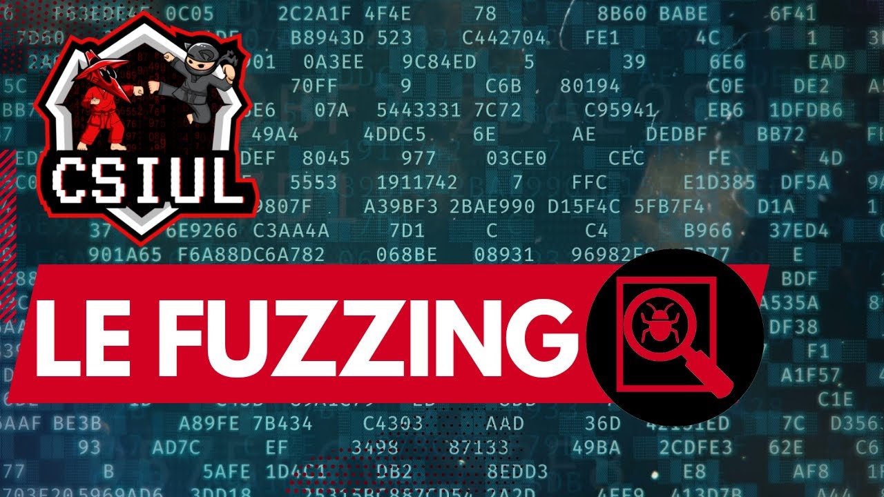 Le Fuzzing