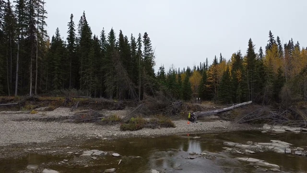 Gold panning mcleod river 2