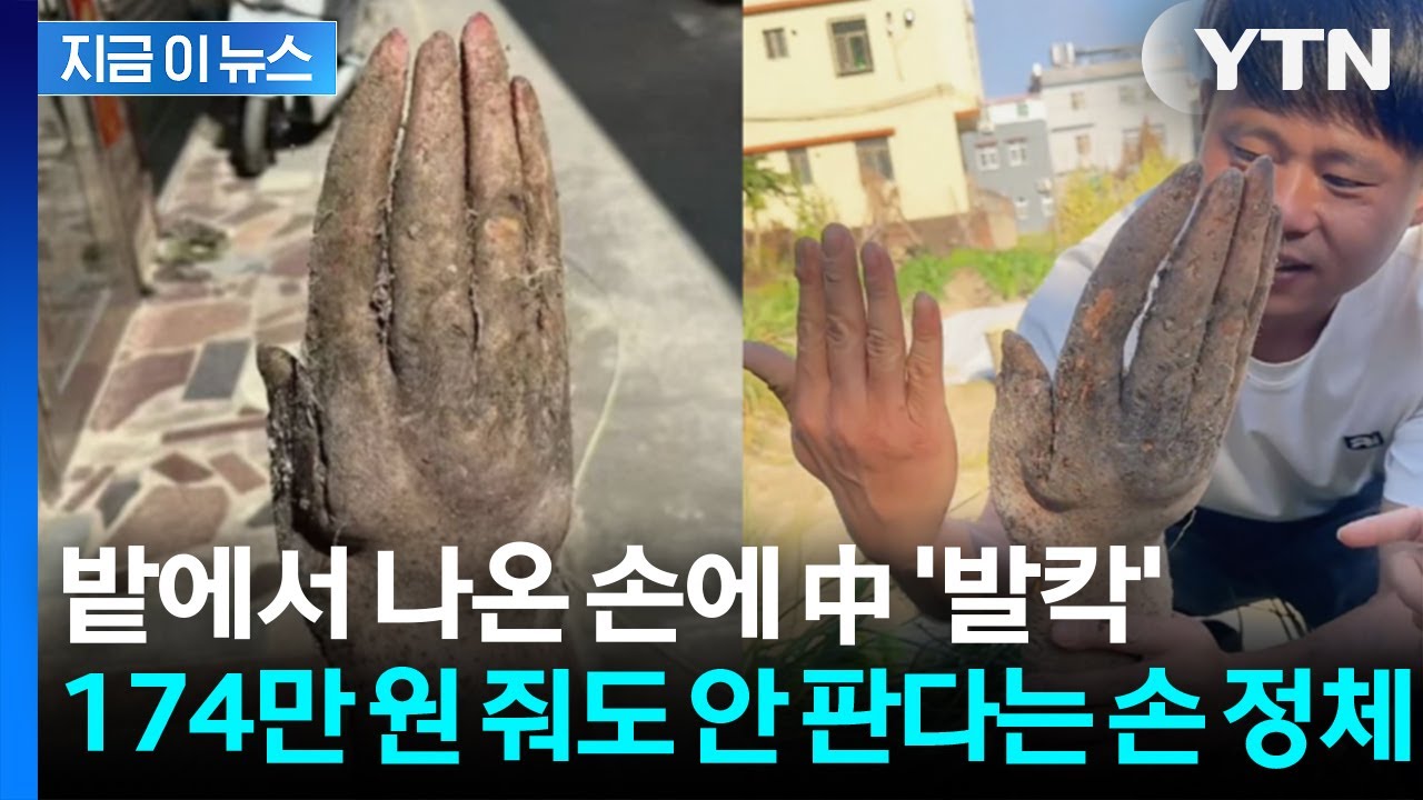 174만 원에 산다고 해도 거부... 마을 전체 발칵 뒤집은 '손 정체' [지금이뉴스] / YTN