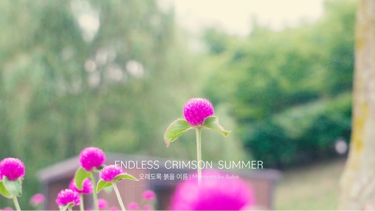 Endless Crimson Summer | 변치 않는 사랑