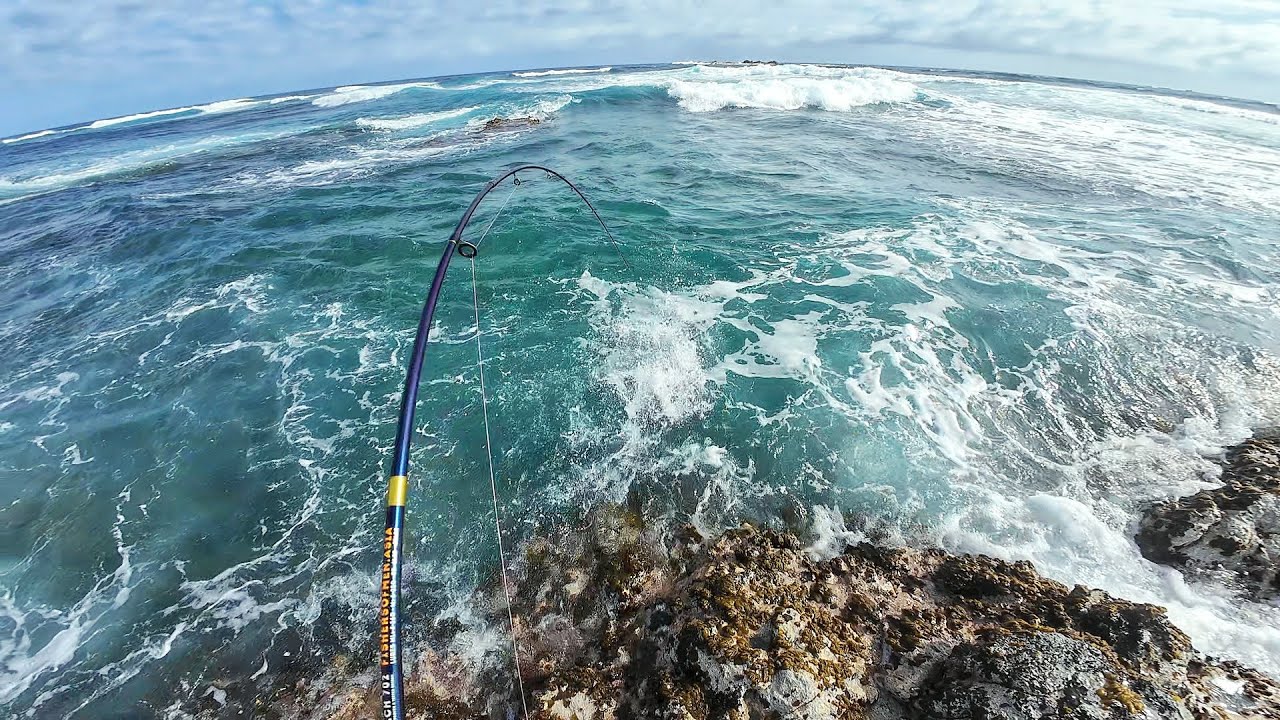 Dangerous Rock Fishing - Hunting Giant Blue Fin Trevally!!