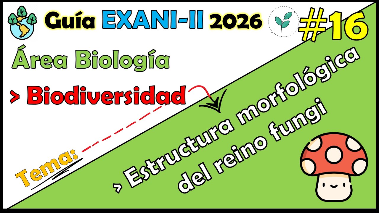 Curso EXANI II 2026 Biología Biodiversidad: Estructura morfológica del reino fungí #16