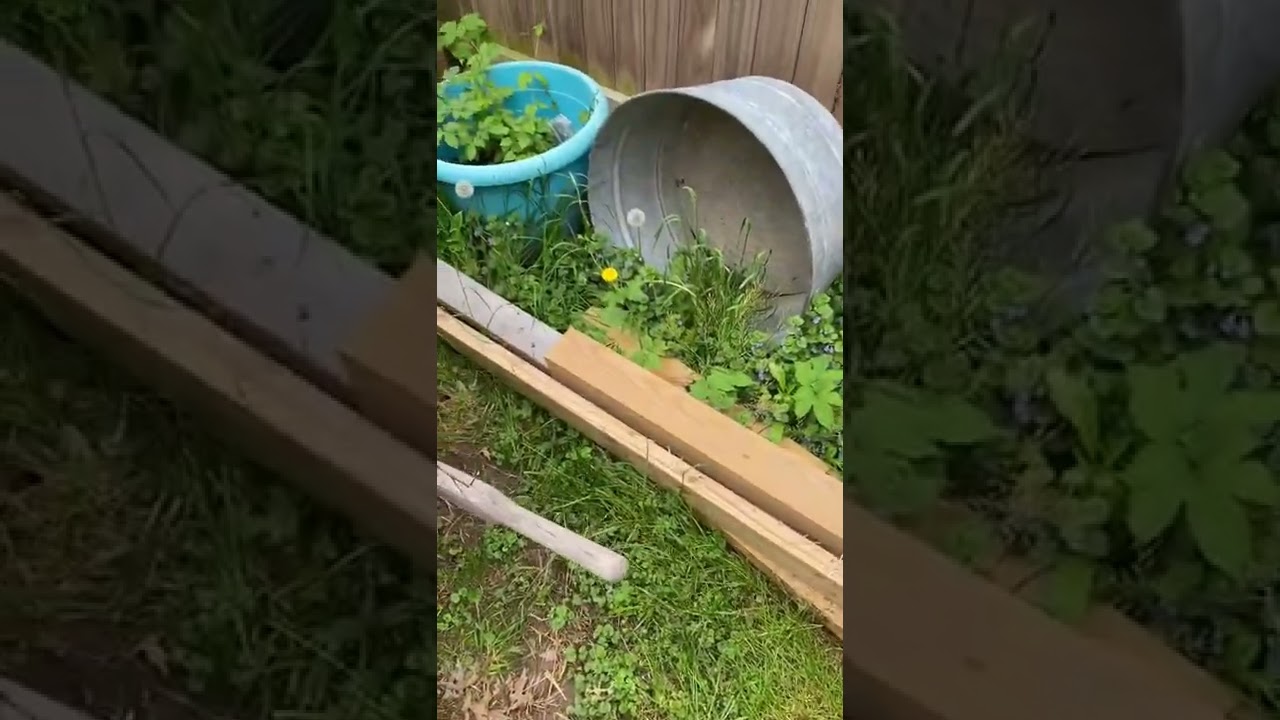 Out of control!