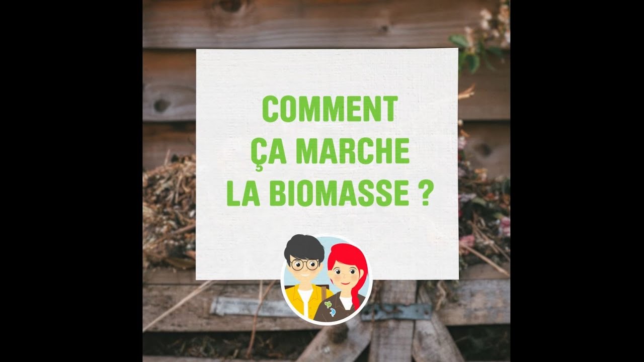 Comment &ccedil;a marche la biomasse ?