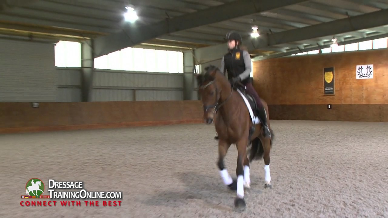 Dressage judge and trainer Gary Rockwell focusing on developing the half pass
