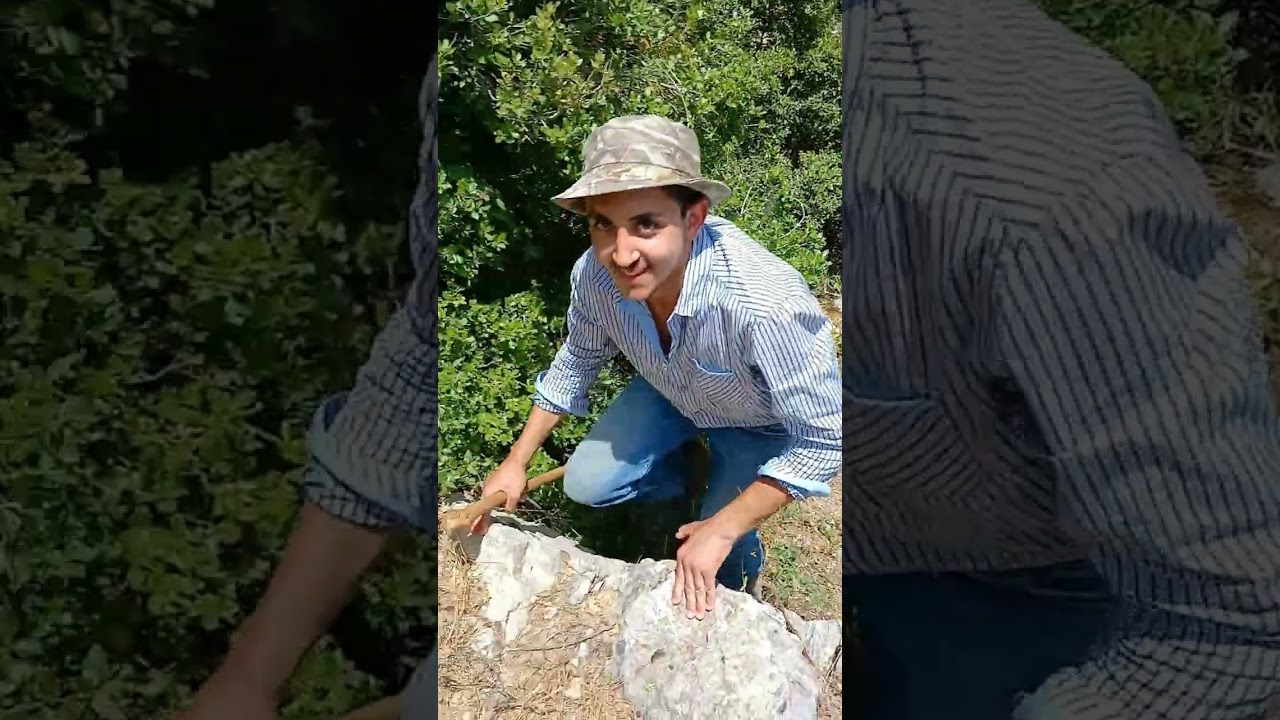 Meet Sassine Korkmaz the youngest goat farmer in lebanon ساسين قرقماز أصغر راعي غنم في لبنان