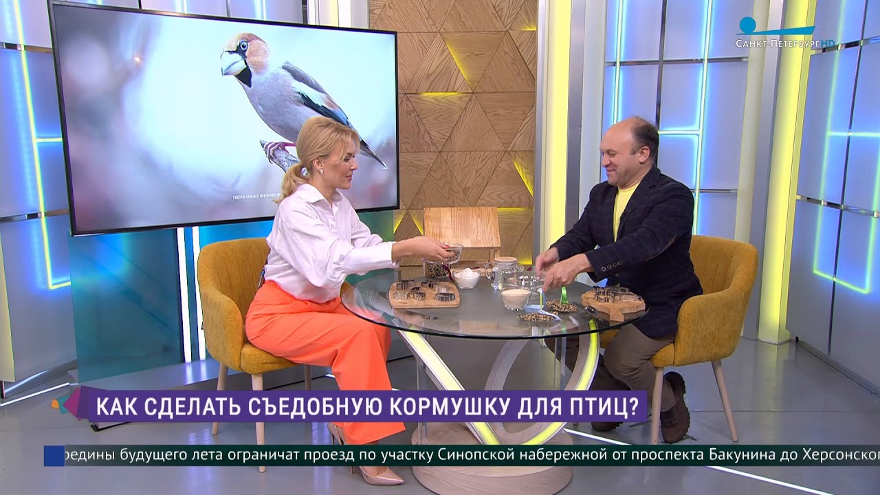 Как сделать съедобную кормушку для птиц