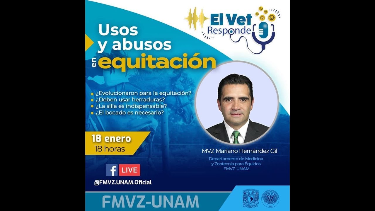 Usos y abusos en equitación