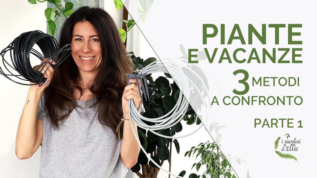 Innaffiare le piante in casa durante le vacanze