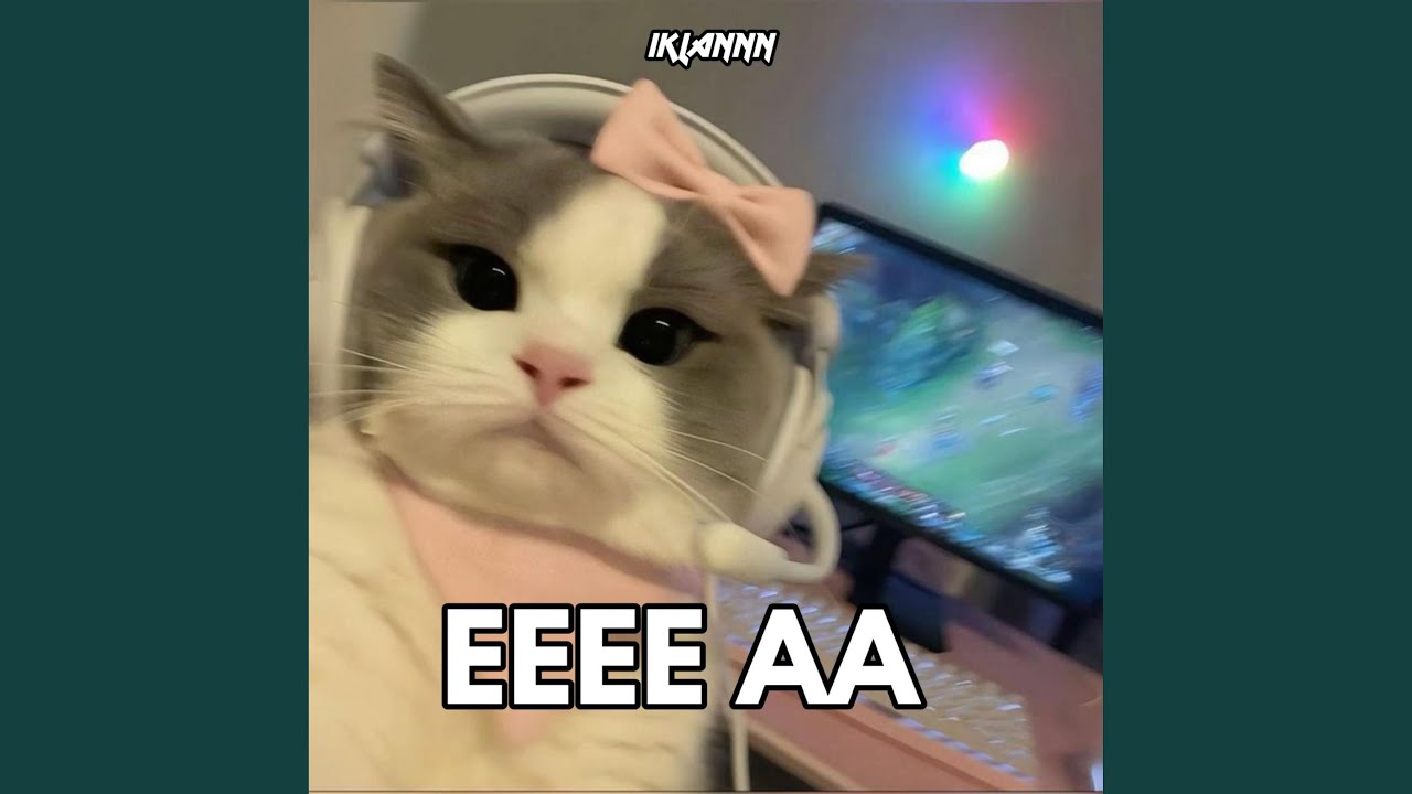 Dj Eeee Aa Velocity