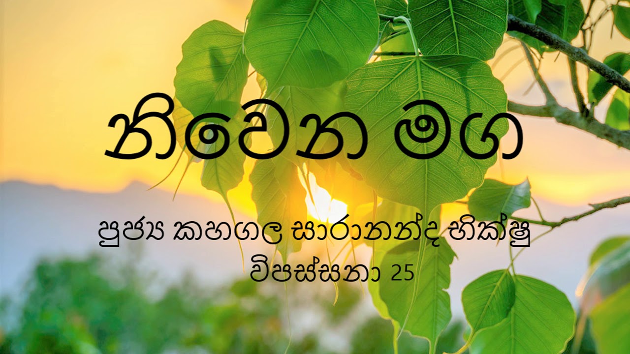 Vipassana 25 Knowing,Accepting & Living with the Universal Truth  Ruparaga & Aruparaga i  04.23.2020
