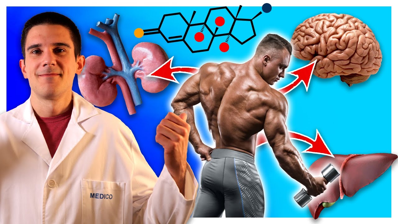TESTOSTERONA: Estos son los TRANSFORMADORES Efectos de Esta HORMONA en tu ORGANISMO (Hombre y Mujer)