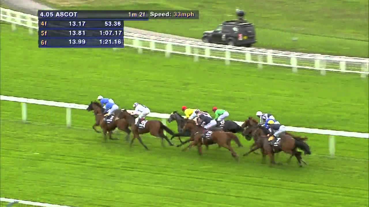 Qipco Champion Stakes 2013 - Farhh