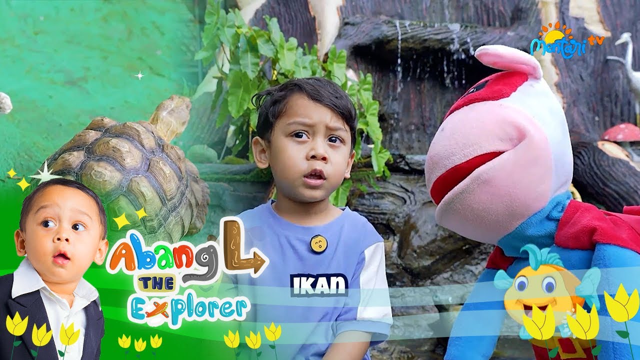 Besar Dan Sehat! Abang L Liat Banyak Hewan Di The Farm Pancawati | Abang L The Explorer