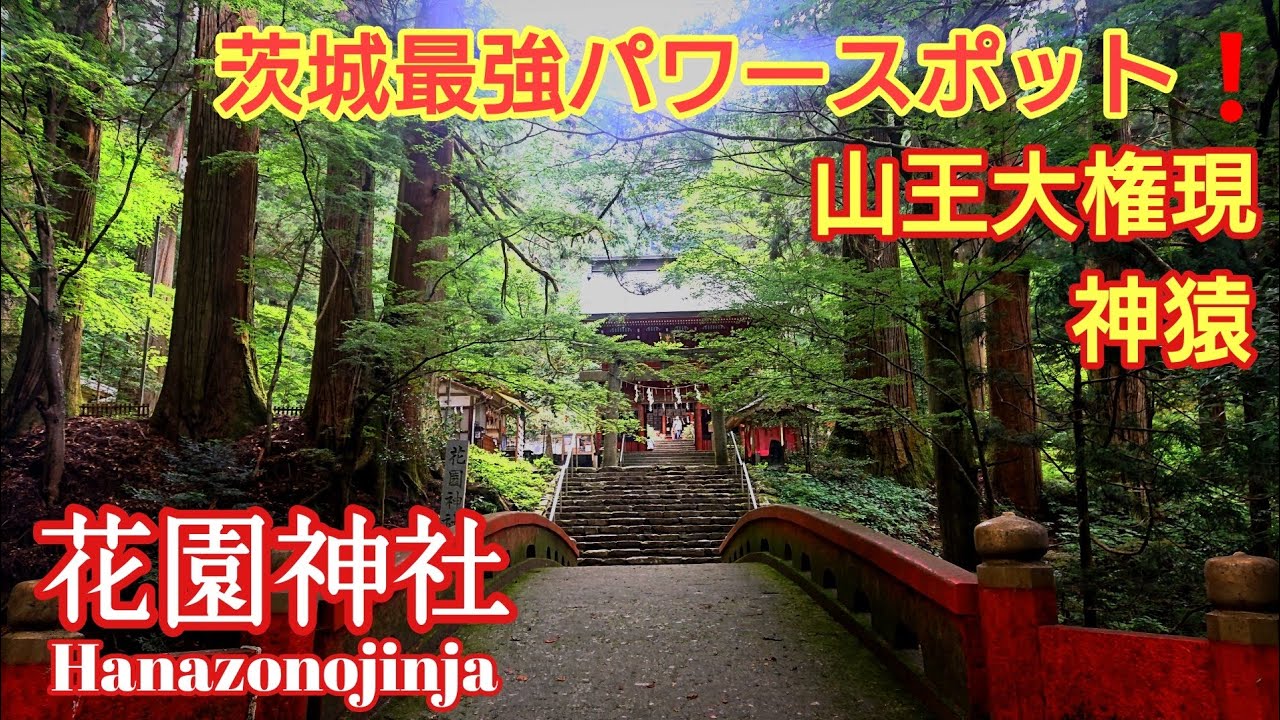 茨城 荘厳な雰囲気に包まれた『花園神社』 オススメの参拝方法を徹底解説