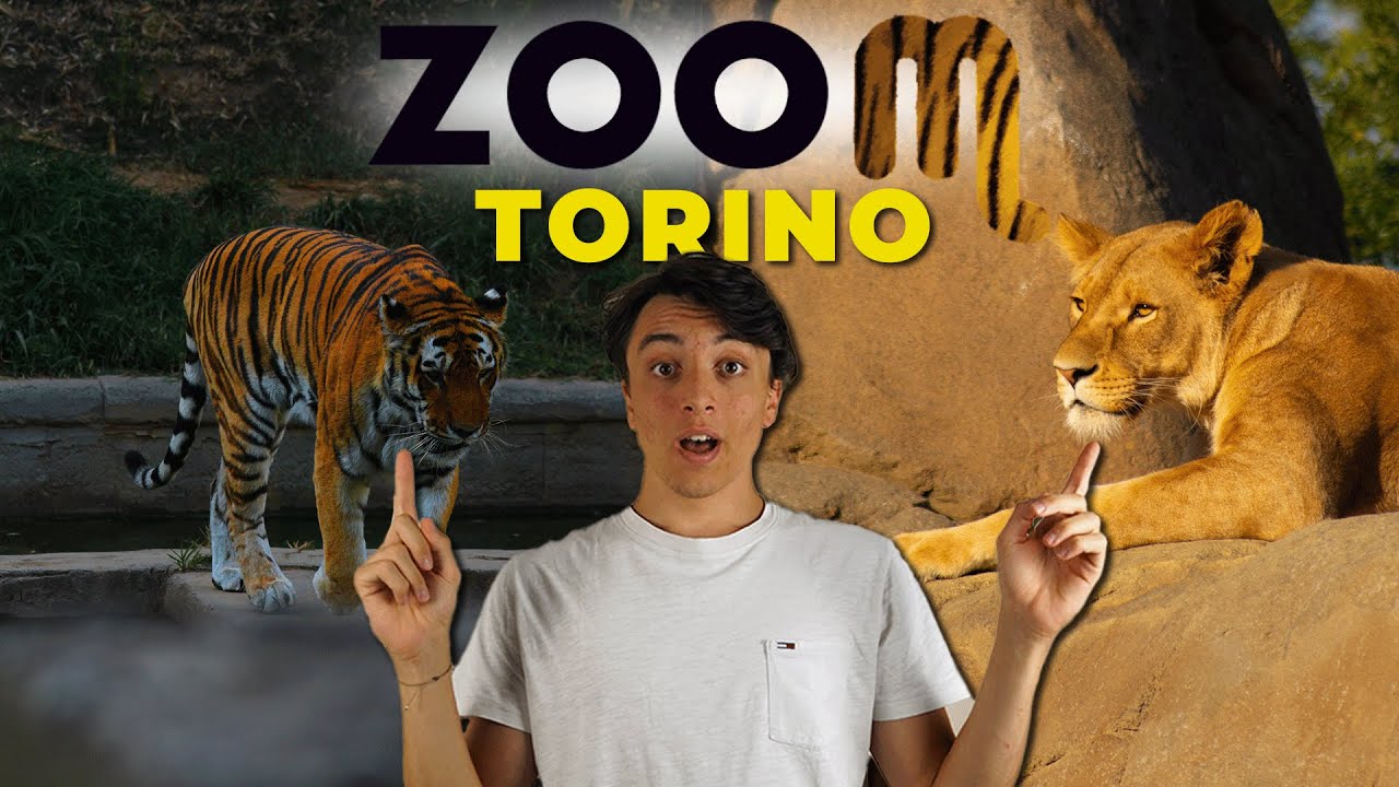 UNA NOTTE NELLA SAVANA | Zoom di Torino (risveglio con i lemuri)