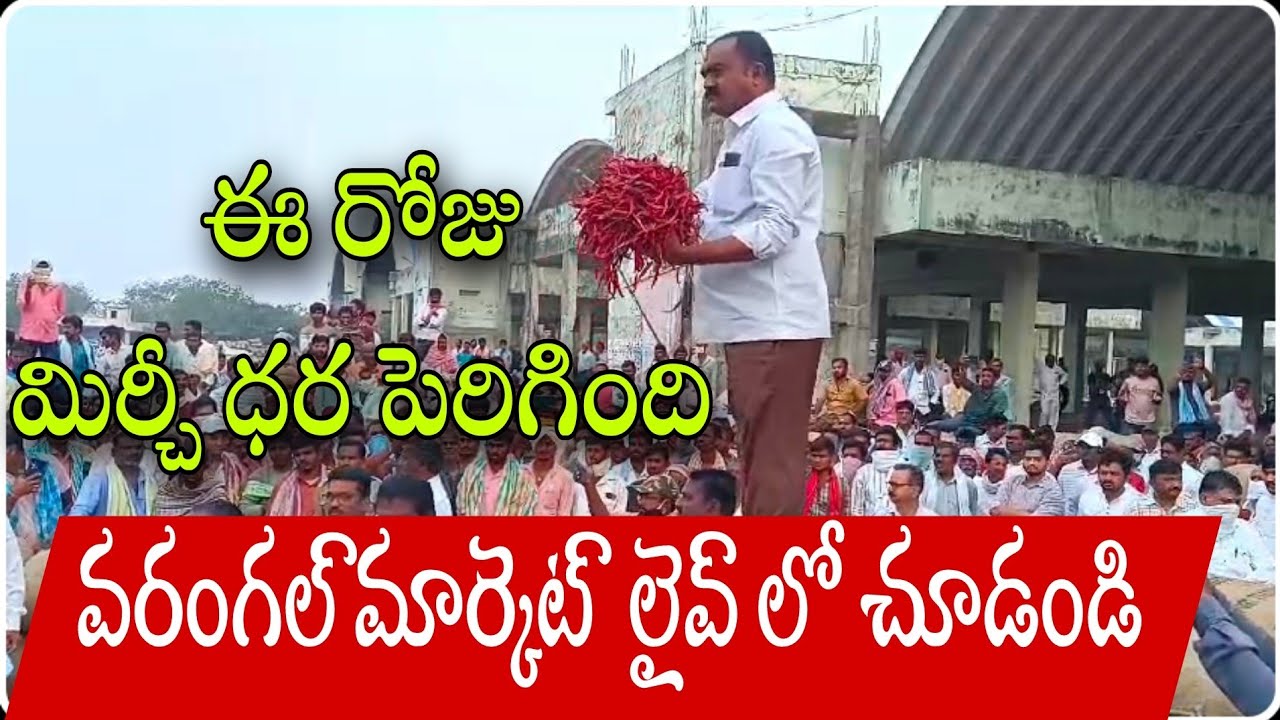 ఈరోజు మిర్చి ధర పెరిగింది?#వరంగల్ మార్కెట్(February 26)#Warangal Market Teja mirchi jenda rate