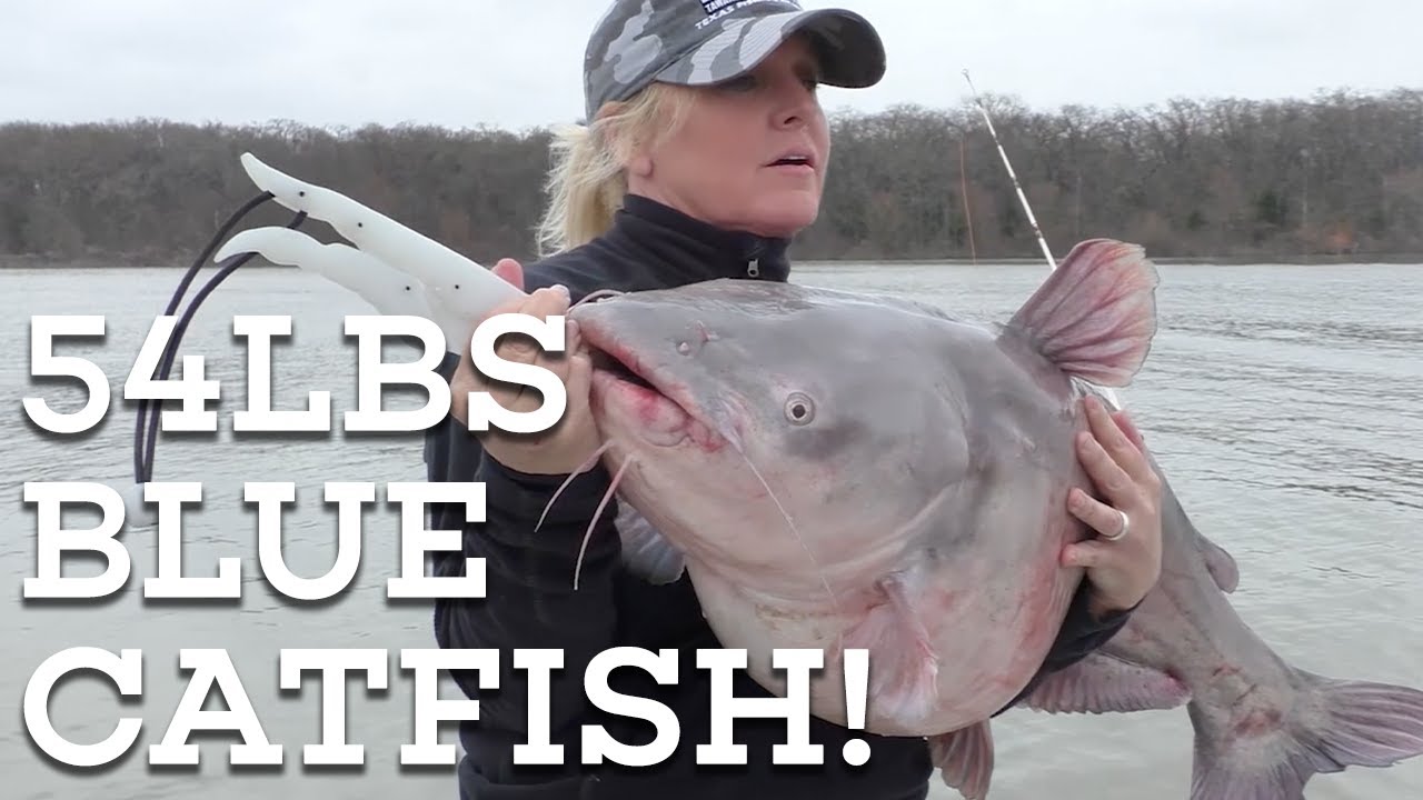 MONSTER BLUE CATFISH CATCH! Let’s Fish SouthWEST #2 - 2020 Lake Tawakoni, Texas Blue Catfish