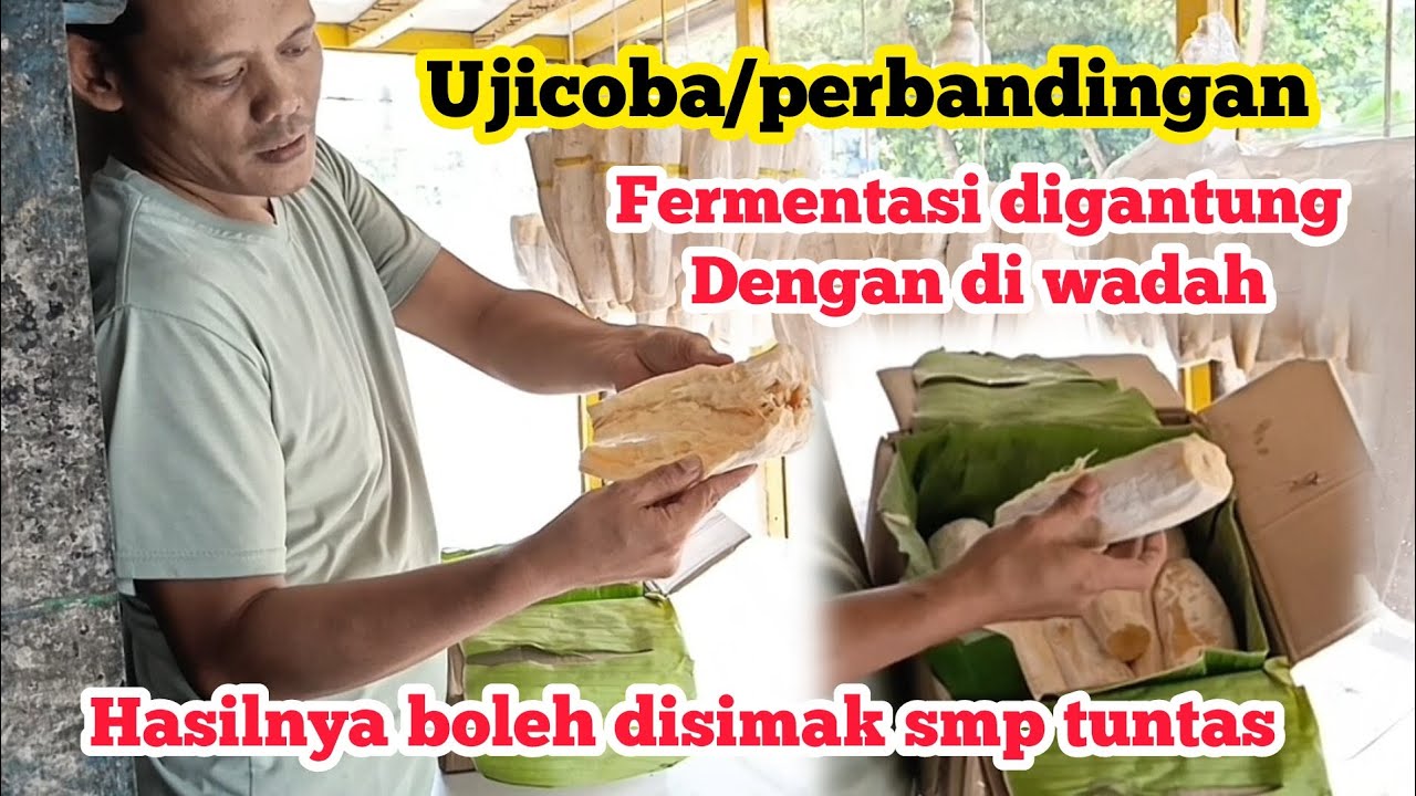 Pembuktian - uji coba perbandingan Fermentasi - digantung dengan diwadah