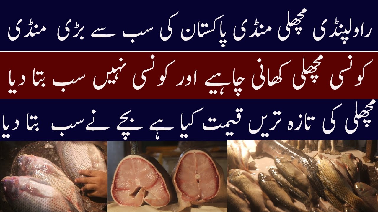 Rawalpindi Largest Fish Market | Ganj Mandi Fish Market Rawalpindi|Rawalpindi fish mandi|fish market