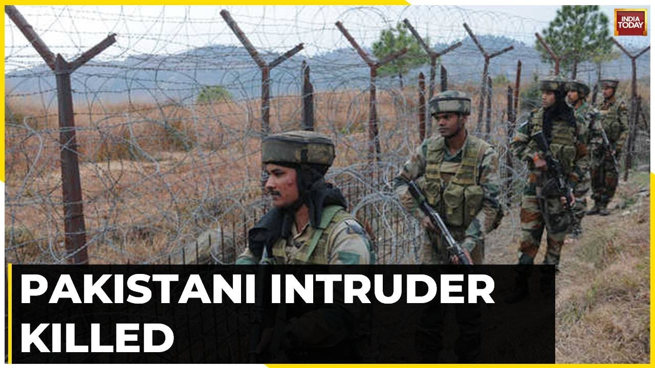 BSF Shoots Dead A Pakistani Intruder; Pak Intruder Shot Dead At Pathankot International Border