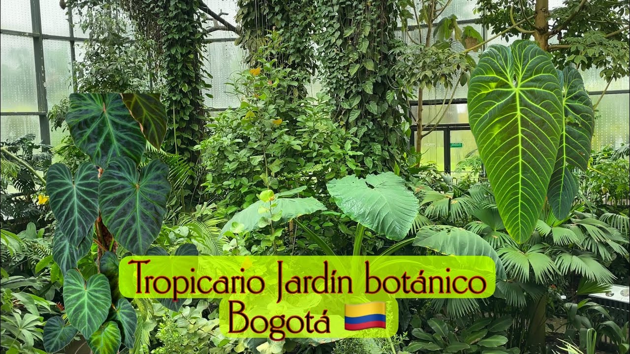 Recorrido JARDIN BOTANICO Bogotá Colombia 2025