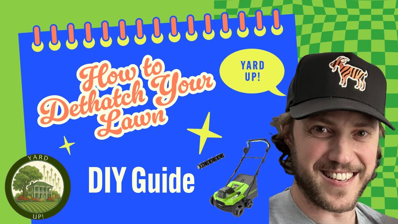 DIY How to Dethatch Your Yard