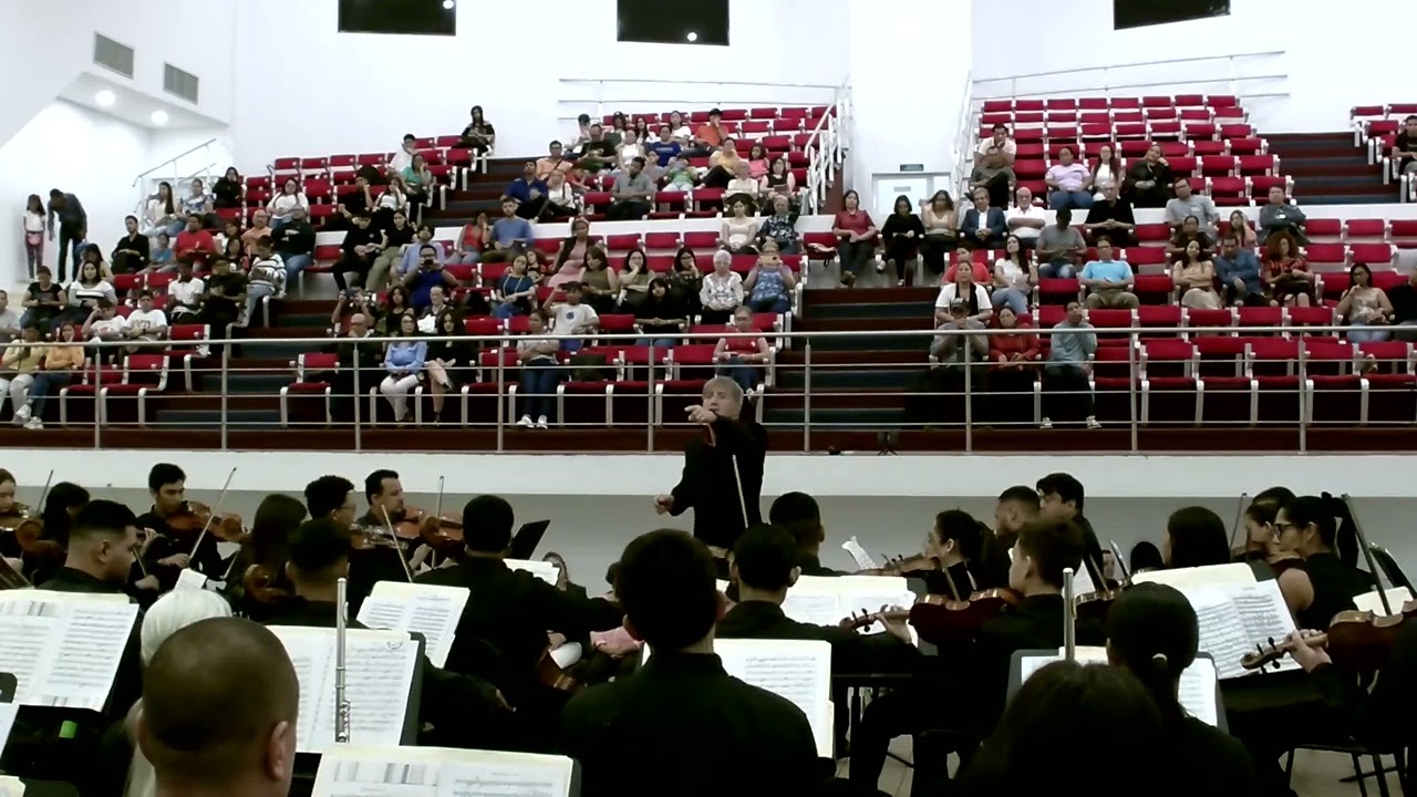 P. I. Tchaikovsky: Symphony n.5 in Mi minore op. 64  - 1st movement -