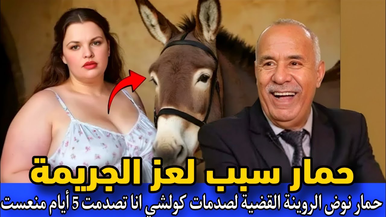 الحلقة 403: حمار سبب حل لغز الجريمة حمار نوض الروينة فالمغرب خلاني الصدمة منعسش خراز يحكي 