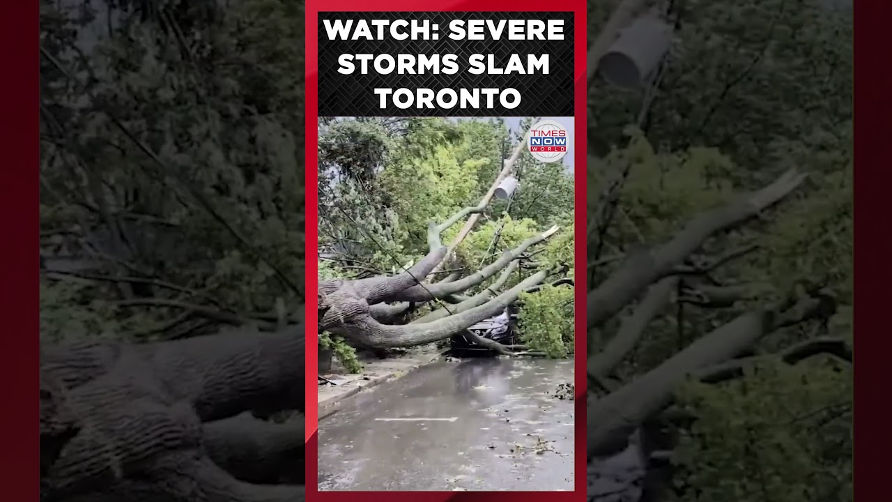 Toronto Storm Fury: Torrential Rain, Hail and Damaging Winds Hit Canada | Times Now World