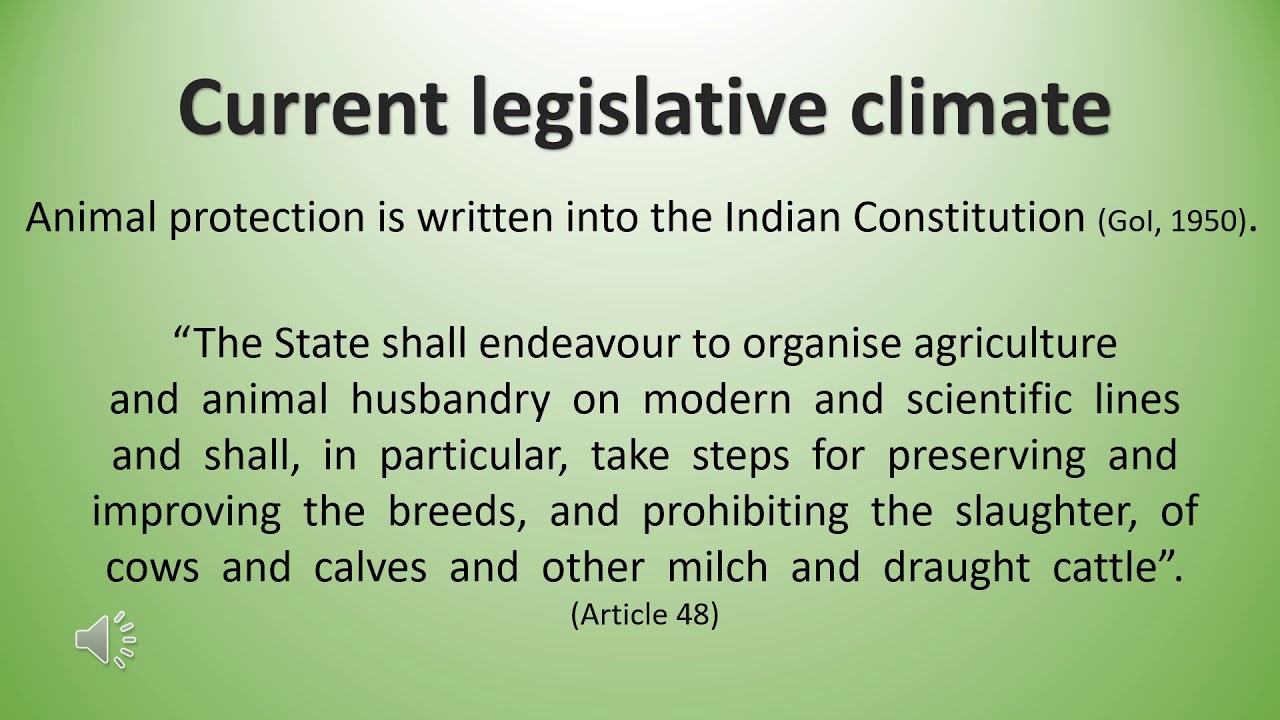 Welfare issues of India&rsquo;s bovine milch animals