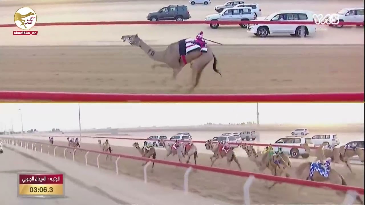 الشوط 4 (حفله) لـ محمد بلاع بالدوده العامري 4:22:05 ، شارة الديوان 2023/03/10 حقايق الوثبة