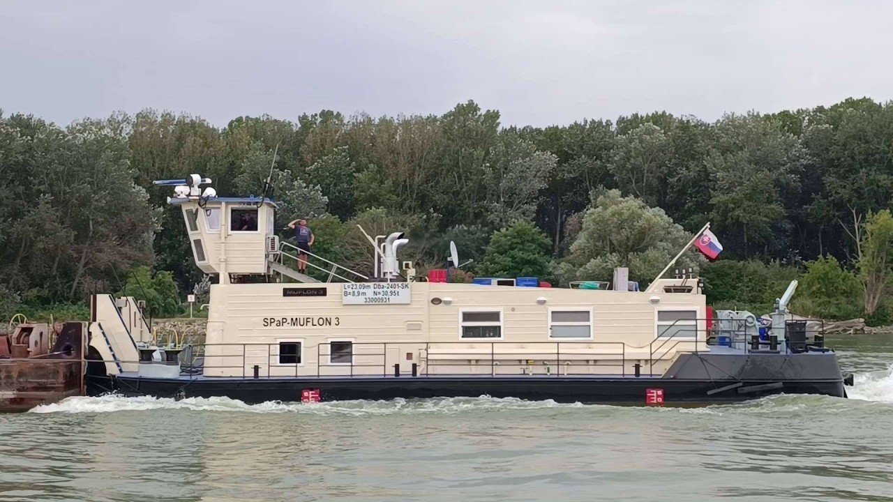 MUFLON 3 , Danube river 1960km. 2024.sep.06
