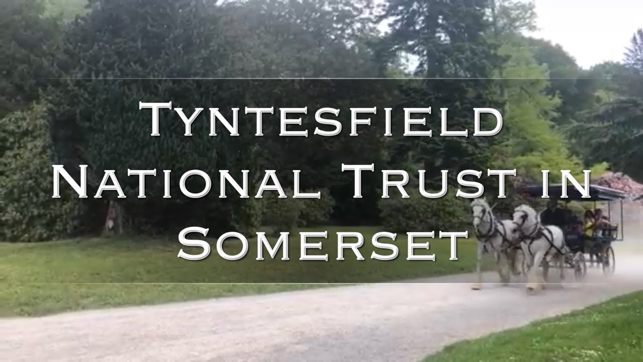 Tyntesfield National Trust in Somerset