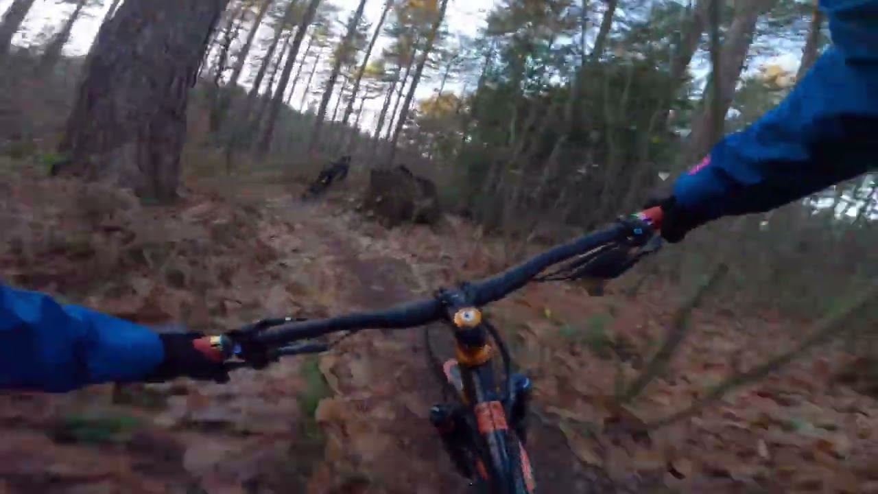 Sherwood Pines - A Couple of Runs of the Downhill Park