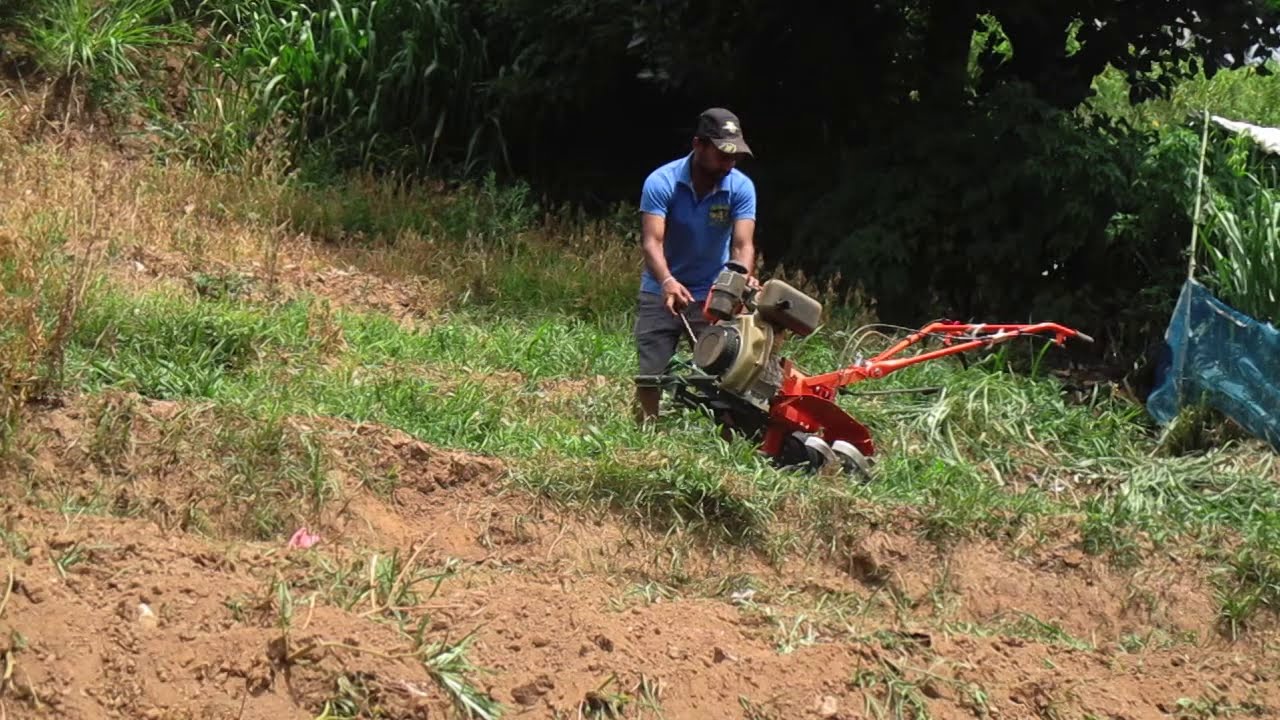Buying a mini Rotavator in Sri Lanka 🚜 | Vlog 03