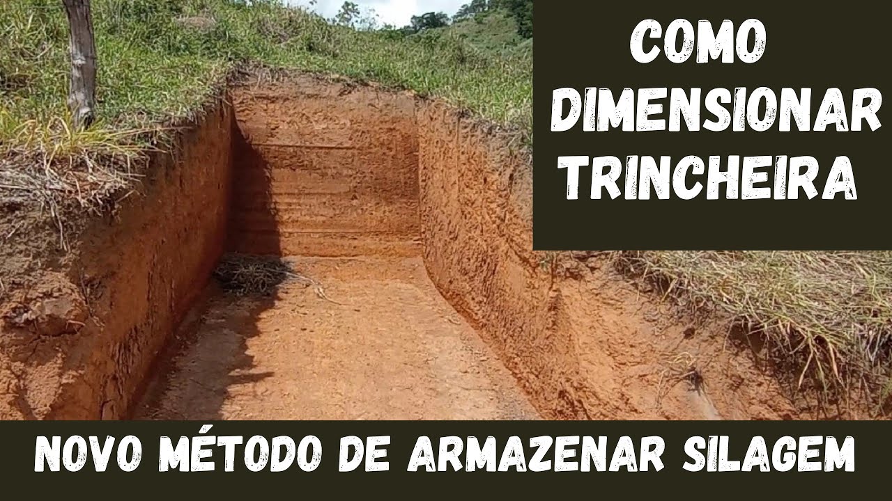 Novo método de ultilização da trincheira para o pequeno produtor.(ep.18)