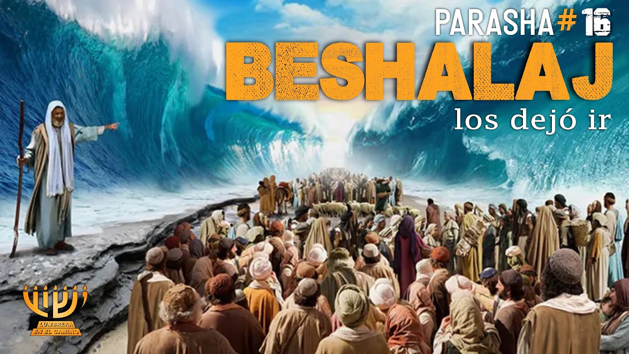 No te guíes por tu Vista ΘΘ Parashat BESHALAJ
