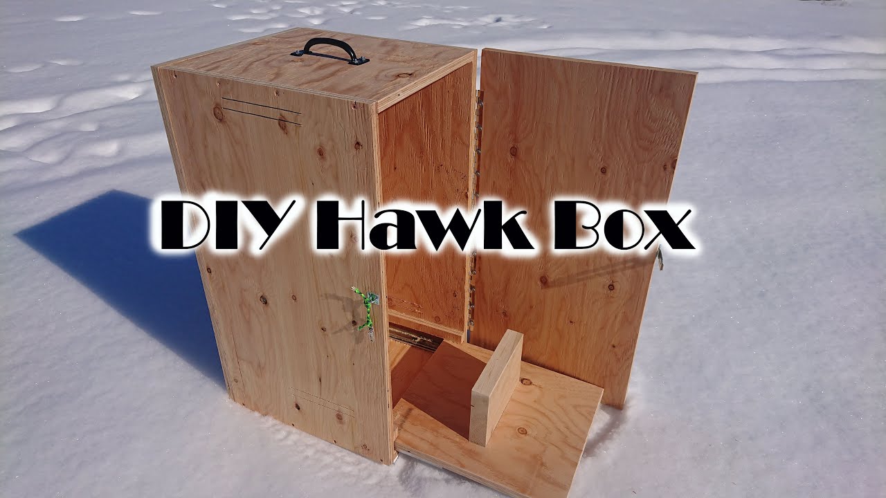 Falconry hawk giant hood travel box with slide out perch DIY - ACR Outdoors