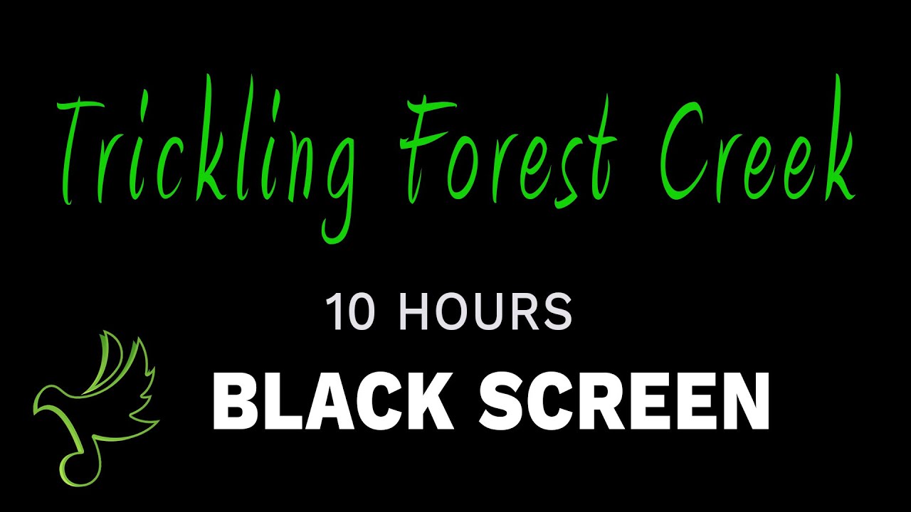 🌊 A Babbling Brook Water Sounds Trickling Forest Creek for Deep Sleep | 10 Hours Black Screen ASMR 🌿
