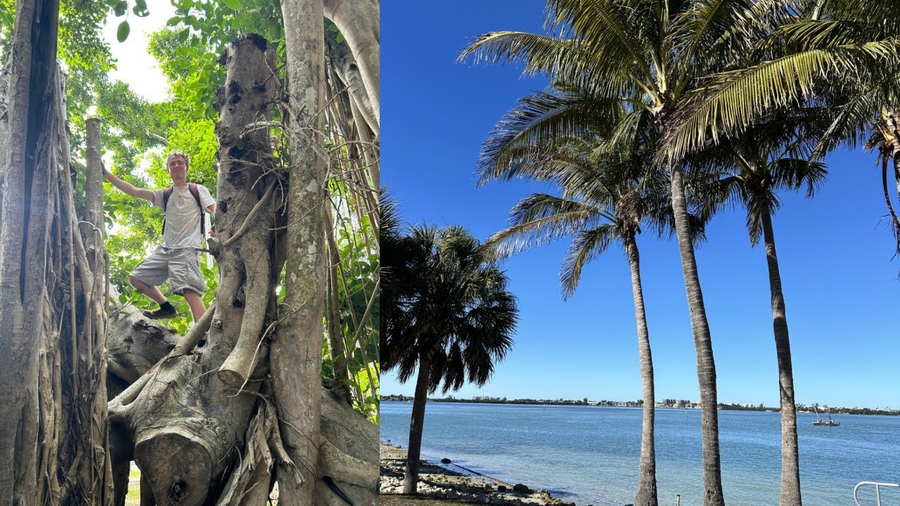 Sarasota | Ted Travels