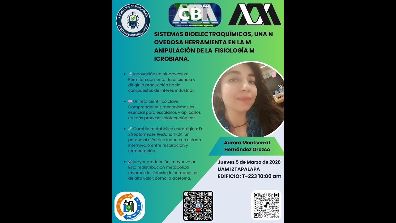 Sistemas Bioelectroquímicos están revolucionando la biotecnología. 🧫⚡