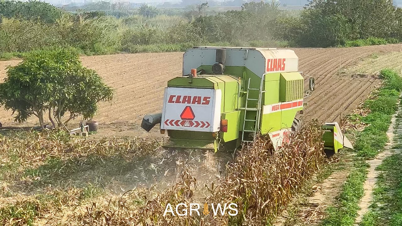 硬質玉米 - 義竹 | CLAAS MEGA 204(下)