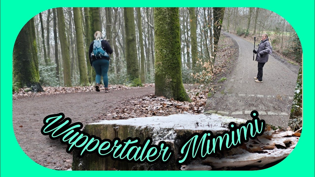 Mimimi in Wuppertal 🥶 / Kleine Runde bei Ronsdorf / Lazy cats on tour 💤