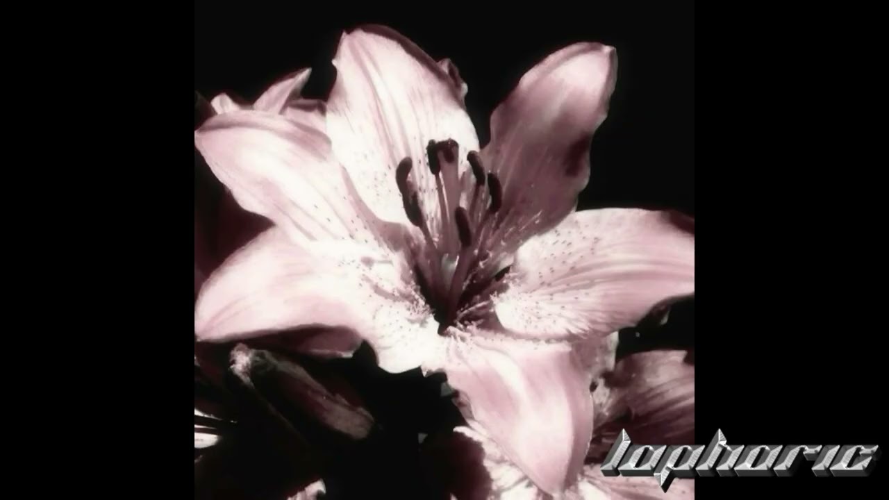 [FREE] 2000s swag / heygwuapo / lvusm type beat - 