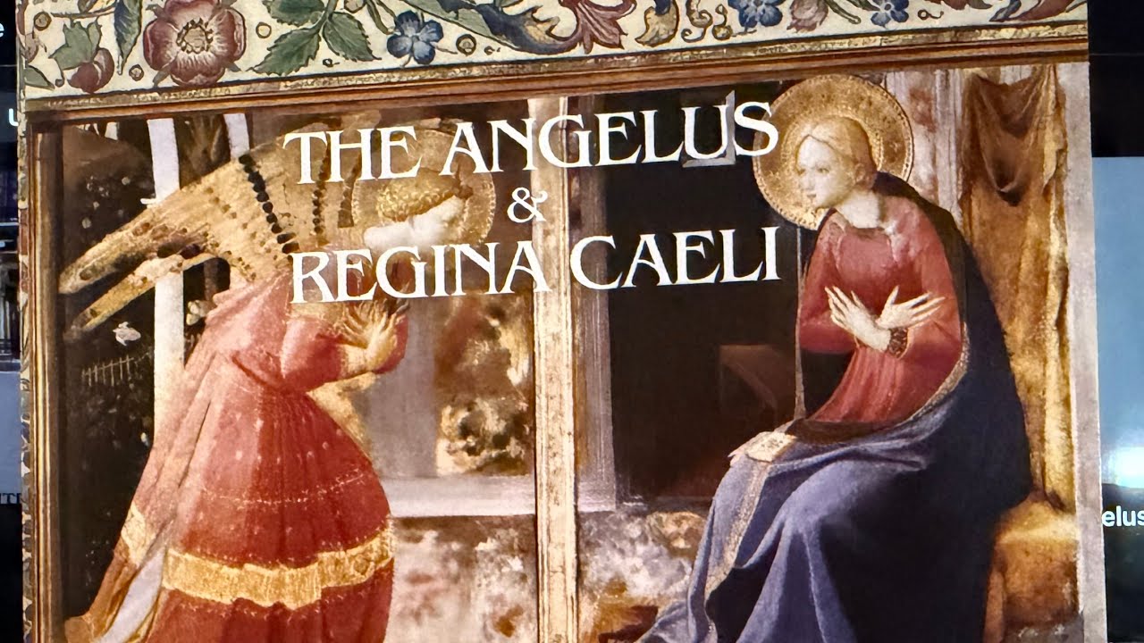 «Краткие» обновления: Angelus, Управление по делам отцов, Международный устав OFS.