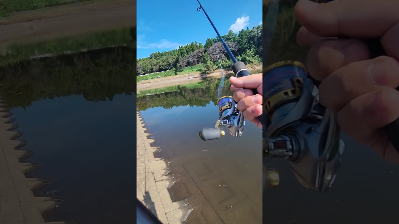 【神秘の釣り旅】朝霧に包まれた湖で静寂と興奮のひととき 🎣🌅✨