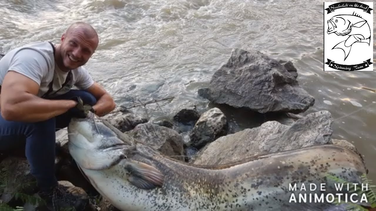 Spinning siluro : River Monster Italia